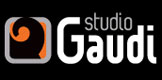 Brendiranje vozila gaudi studio 