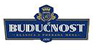 buducnost logo buducnost logo