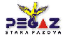 pegaz