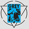 Dežurna specijalistička stomatološka ordinacija Grey dental logo