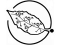 Studio za decu Vrt logo